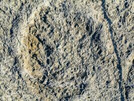 Natural monument of fossil dinosaur footprints in Serra D 'Aire in Pedreira do Galinha, in Portugal. A pedagogical circuit was created at the site, where visitors can see and touch the footprints photo