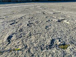 Natural monument of fossil dinosaur footprints in Serra D 'Aire in Pedreira do Galinha, in Portugal. A pedagogical circuit was created at the site, where visitors can see and touch the footprints photo