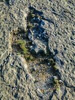 natural Monumento de fósil dinosaurio huellas en serra re 'aire en pedreira hacer galinha, en Portugal. un pedagógico circuito estaba creado a el sitio, dónde visitantes lata ver y toque el huellas foto