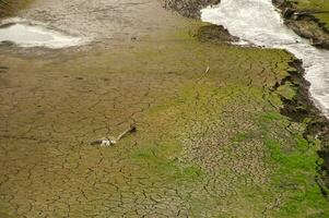 The Ponsul River is a affluent of the Tejo River, in Portugal, and is a very large river. At this time it is completely dry, without water and with its bed cracked due to climate change photo