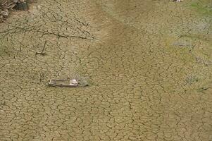 el ponsul río es un afluente de el tejo río, en Portugal, y es un muy grande río. a esta hora eso es completamente seco, sin agua y con sus cama agrietado debido a clima cambio foto