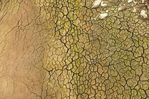 el ponsul río es un afluente de el tejo río, en Portugal, y es un muy grande río. a esta hora eso es completamente seco, sin agua y con sus cama agrietado debido a clima cambio foto