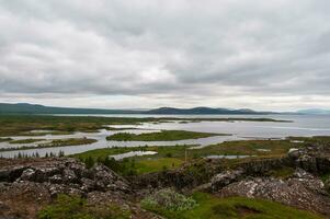 Detail of Iceland's lush natural landscape photo