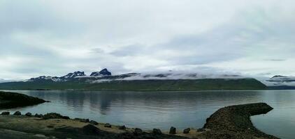 Detail of Iceland's lush natural landscape photo