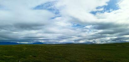 Detail of Iceland's lush natural landscape photo