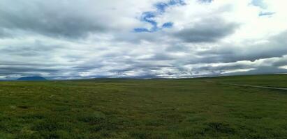 Detail of Iceland's lush natural landscape photo