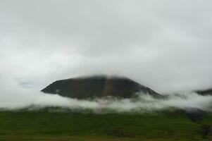 Detail of Iceland's lush natural landscape photo