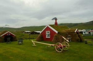 Detail of Iceland's lush natural landscape photo