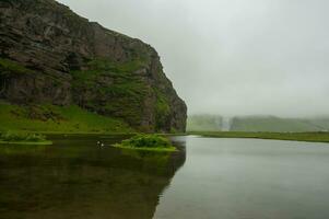 Detail of Iceland's lush natural landscape photo