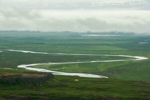 Detail of Iceland's lush natural landscape photo