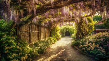 Beautiful illustration of a garden with flowering wisteria photo