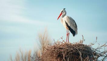 Stork on top of the nest. AI generated photo