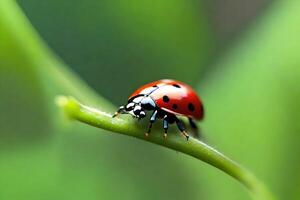 This text is about looking closely at a ladybug on a green stem and highlighting the variety of living things in small environments.. Creative resource, AI Generated photo