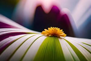 A closeup shot of a raindrop on a develop petal, capturing the heavenliness of nature's centers of charmed. AI Generated photo