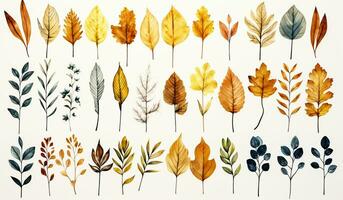 conjunto de diferente hojas con otoño colores en blanco antecedentes. ai generado foto