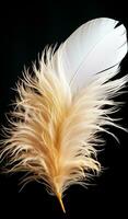 Closeup of white feather on black background. AI generated photo