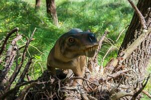 dino parque, dinosaurio tema parque en lourinha, Portugal foto