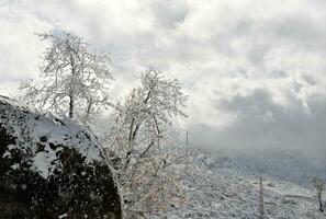 invierno paisaje montañas con nieve foto