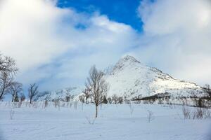 Winter landscape mountains with snow photo