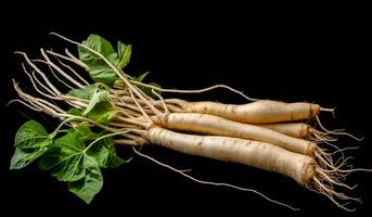 Ginseng root isolated on dark background. Healthy time. AI generated photo