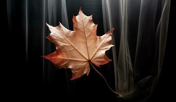 Vibrant autumn old dry maple leaf on dark background. AI generated photo