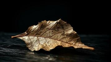 Vibrant autumn old dry leaf on black background. AI generated photo