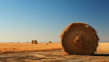 Nature beauty in a rural scene, haystacks bask in sunlight generated by AI photo