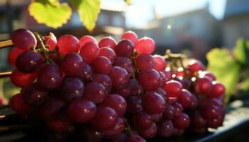 Freshness of nature, ripe grape bunches, organic winemaking in vineyards generated by AI photo