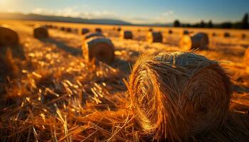 Golden wheat bales dot the rural landscape under a sunset generated by AI photo