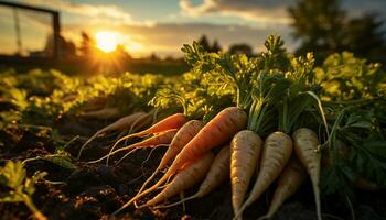 Fresh, organic carrots harvested from a vegetable garden generated by AI photo