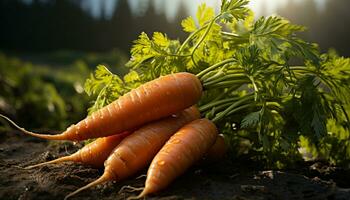 Fresh organic vegetables, healthy eating, nature bounty, farm to table goodness generated by AI photo