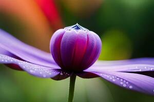 A closeup smash of a finespun dewdrop resting on the petal of a vibrant efflorescence. Creative resource, AI Generated photo