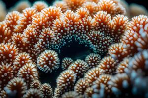 Here is an easy explanation of coral polyps and how they make underwater neighborhoods.. Creative resource, AI Generated photo