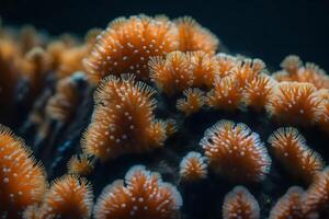 Coral polyps are tiny creatures that make homes underwater. They create underwater neighborhoods with their actions. Here is a simple explanation of how they do it.. Creative resource, AI Generated photo