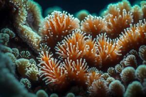 A detailed image of coral polyps, showing how they create underwater cities.. Creative resource, AI Generated photo