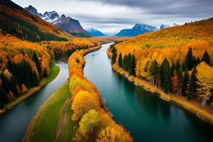 A stun forward pass view of a fart river cutting through a vibrant fall forest. Creative resource, photo