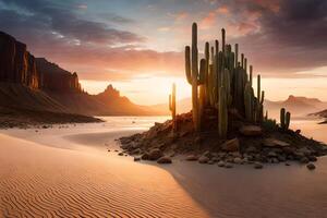 A interesting leave scene with different cactus species and tough shake arrangements. photo