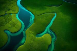 An image taken from above of a river splitting into smaller channels, surrounded by different shades of green and blue.. Creative resource, photo