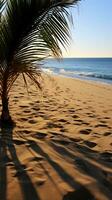 Palm fronds casting shadows on sandy beach photo