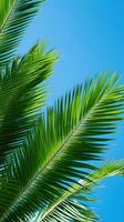 Vibrant green palm leaves against blue sky photo