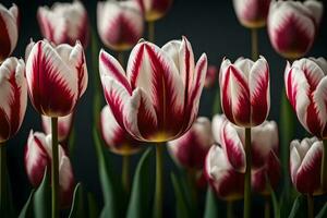 de cerca imágenes de bonito tulipanes, dado como un presente para de la madre día.. creativo recurso, ai generado foto