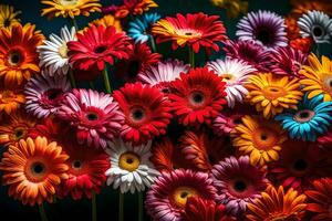 Gerberas are beautiful flowers that make an excellent present for moms on Mother's Day. They are bright and colorful.. Creative resource, AI Generated photo