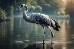 An wealthy crane showcased in peaceful waterside scenes. Creative resource, photo