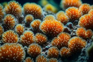 macro capturar de Oceano coral medio tomando ai generado foto
