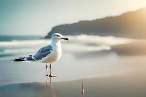 A tender seagull depicted in marvelous beachscapes. Creative resource, photo