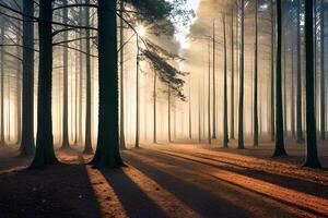 A calm morning see of a foggy timberland with bars of daylight entering through the trees. AI Generated photo