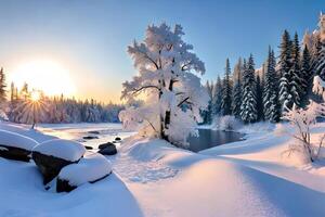 A winter wonderland scene with snow secured trees and a set stream. photo