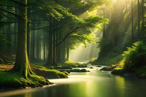 An enchanting afforest illuminated by burn of sunlight filtering through the dense canopy of corner. Creative resource, photo