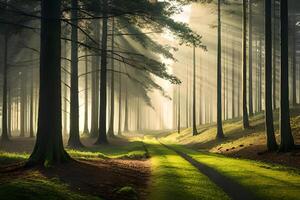 un calma Mañana ver de un brumoso Timberland con barras de luz entrando mediante el arboles ai generado foto