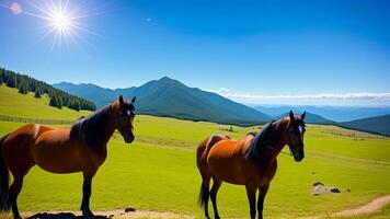 un encantador caballo cuelga entre el montaña ver debajo un claro cielo. ai generado foto